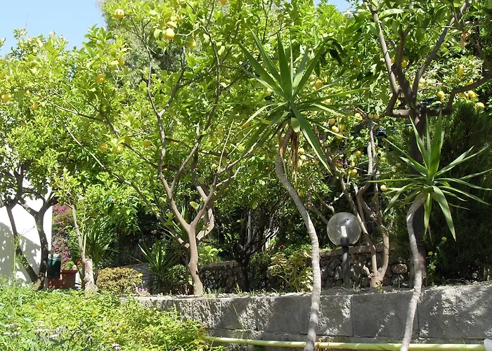 Hotel La Mandorla
